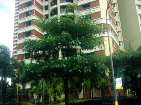 Blk 73A Redhill Road (Bukit Merah), HDB 5 Rooms #26122